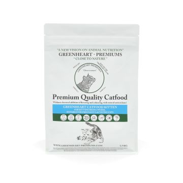 Greenheart Catfood Kitten